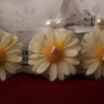 Daisy Candles